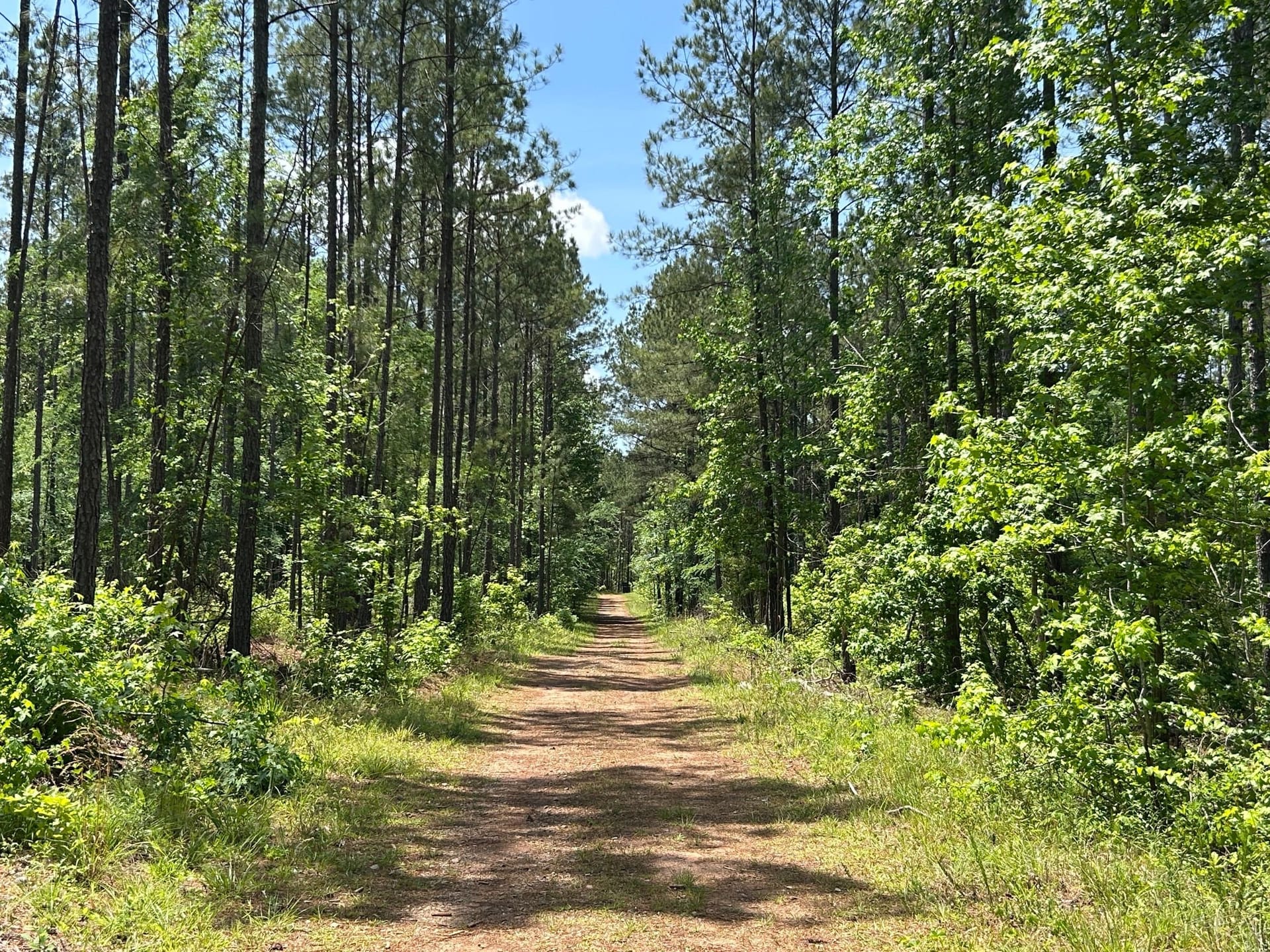 Lake Country Timber & Recreation