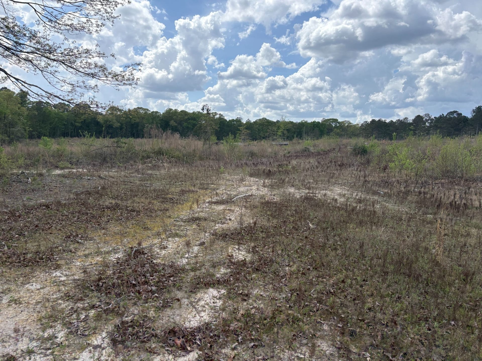 Country Homesite in Gordon