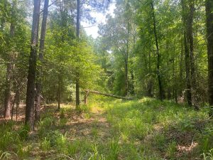 Branan Road Home & Hunt
