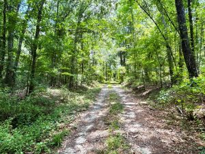 Oconee River Corridor Tract