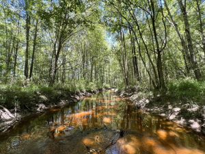 Gumm Creek Hunting & Recreation