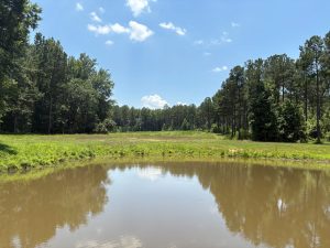 Falling Creek Hunting & Timber