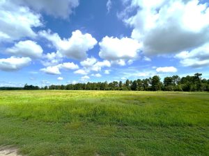 Waddell Farm & Kennels