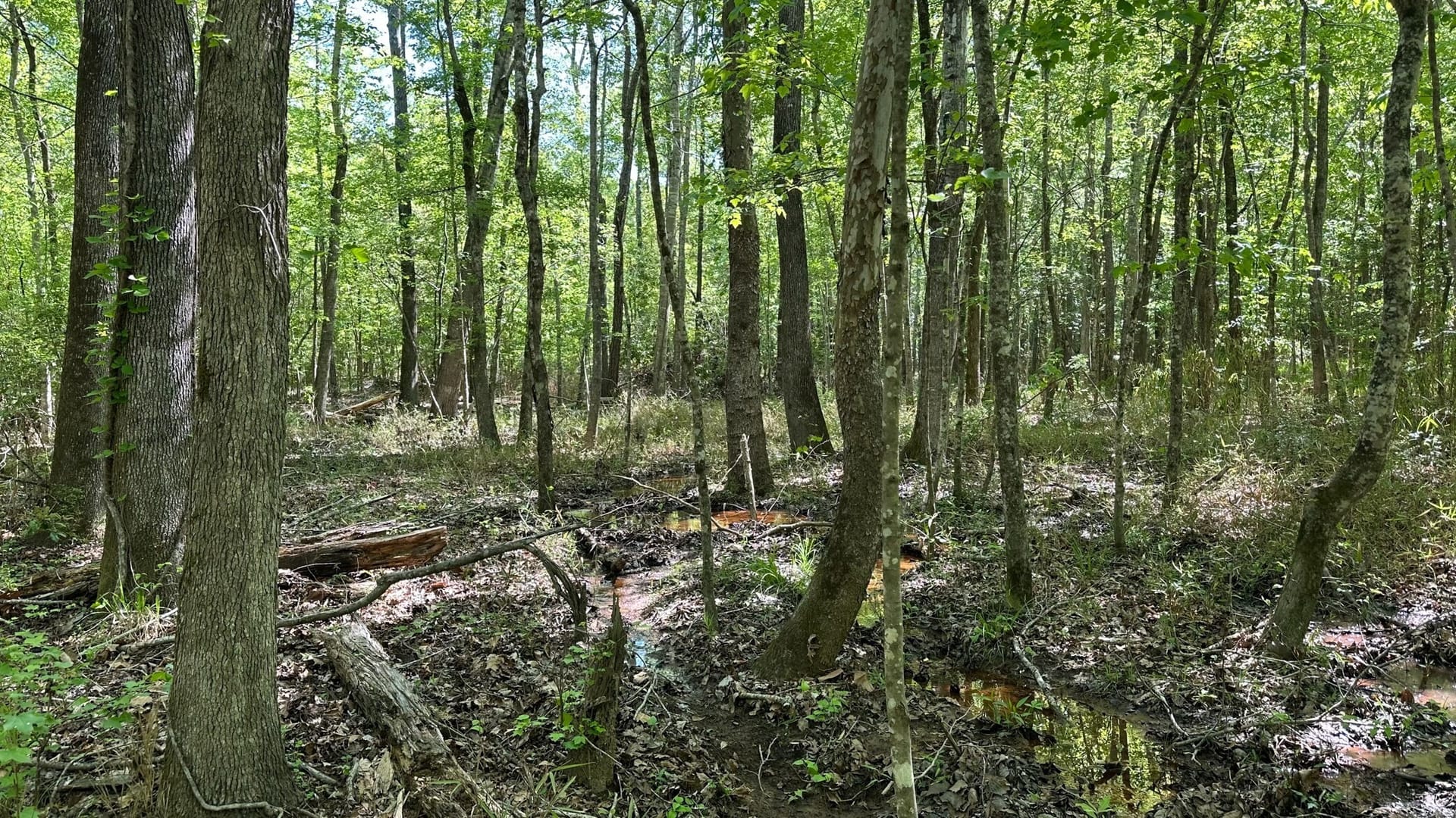 $1,375 Per Acre