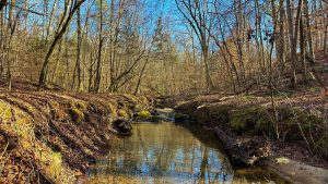 Double Branch Tract