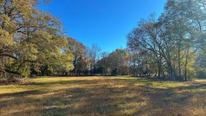 Oscar Walton Cattle Farm