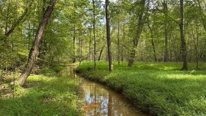 Van Creek Tract