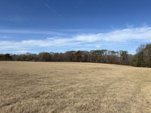 Yellow Creek Timber Farm West