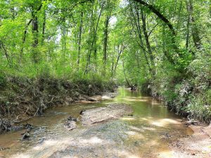 1444AC Adjacent to BF Grant Forest