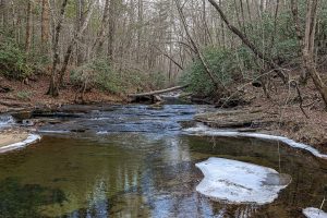 Price Creek Hunting Tract