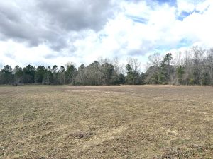 5 Ac Open Land Homesite