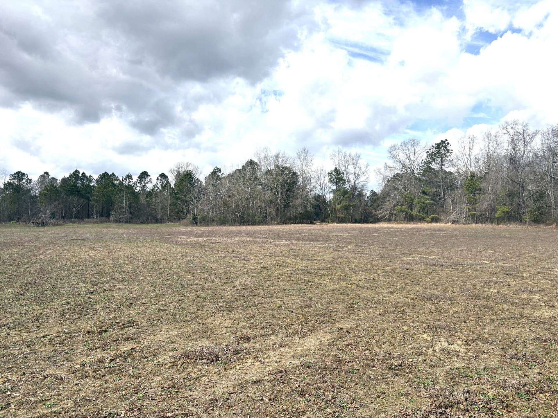 5 Ac Open Land Homesite