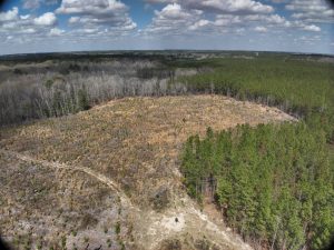 The Cedar Creek Tract