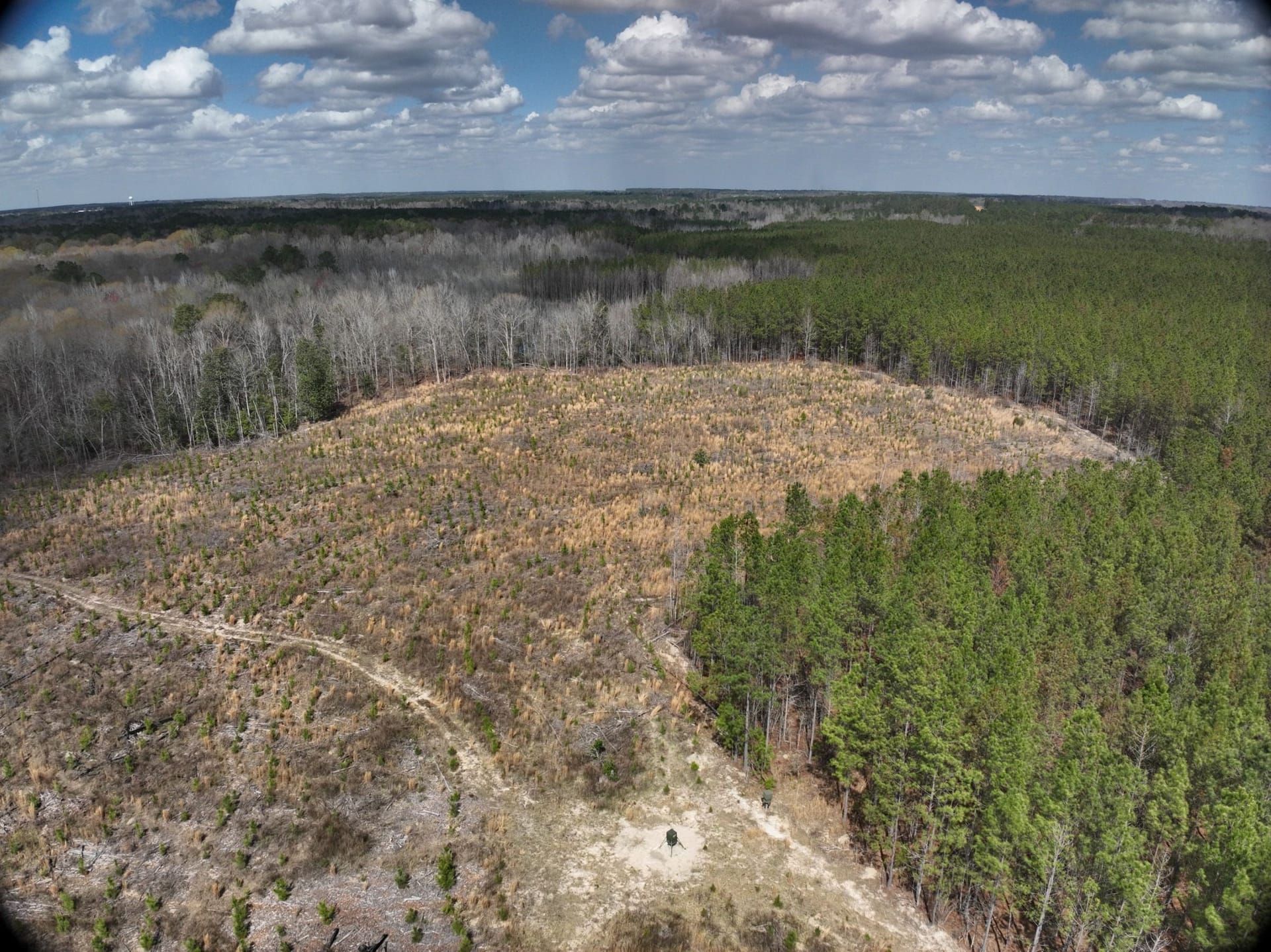 The Cedar Creek Tract