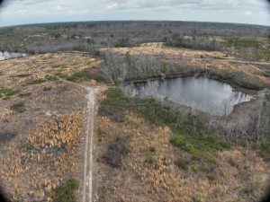 Tarrytown Recreation Tract