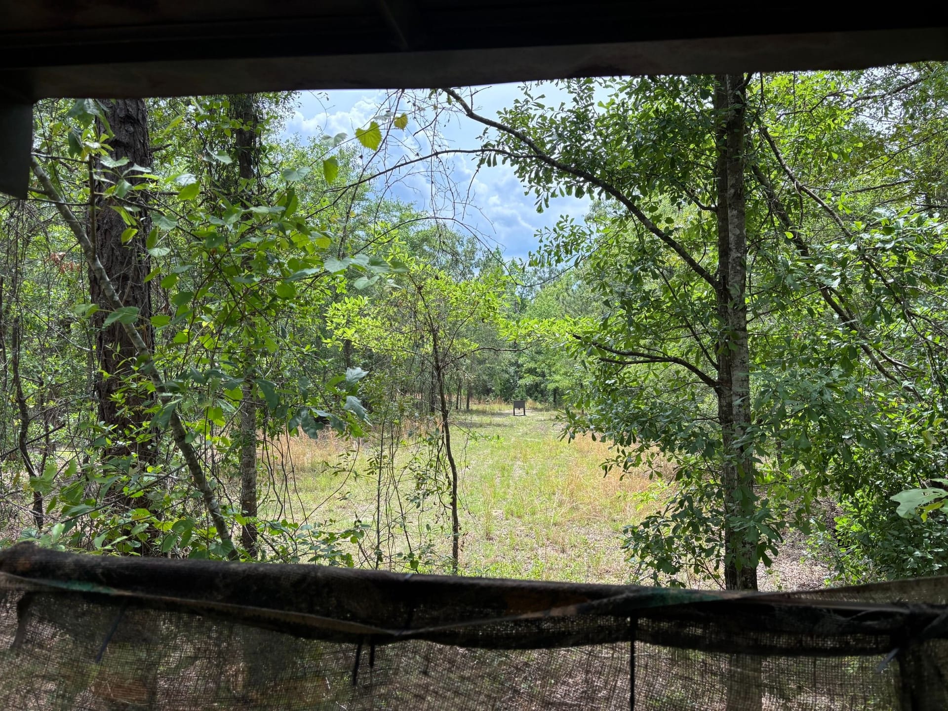 TURN KEY HUNTING IN THE HEART OF MIDDLE GA