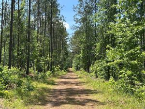 Lake Country Timber & Recreation
