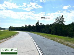 Reduced! I-16 Interchange Corner Site