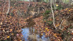 Harmony Road – Tract 2