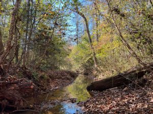 Ruckersville Rd South – Tract 2