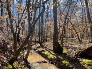 Hulmes Chapel Recreation – Tract 2