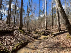 Hulmes Chapel Recreation – Tract 3