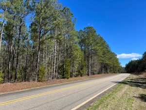 Wooded Homesites/Long Rd Frontage