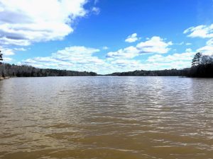 Lake Russell Recreation & Timber