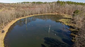 Mallard Lodge