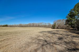 BIG PRICE REDUCTION! Yellow Creek Timber Farm