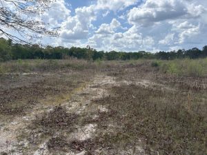 Country Homesite in Gordon