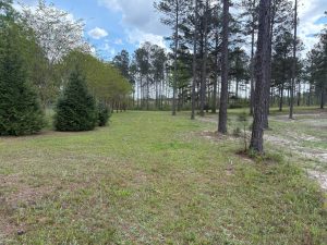 Tract 4 of Hardie Farms