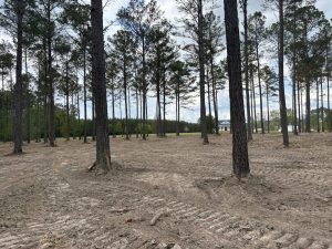 Hardie Farms Tract 2