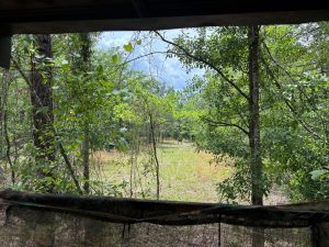 TURN KEY HUNTING IN THE HEART OF MIDDLE GA