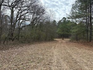 5 Ac Paved Road Frontage