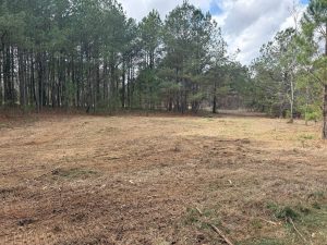 Peaceful 10 Acre Homesite