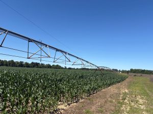 Henderson Grove Farm & Timber