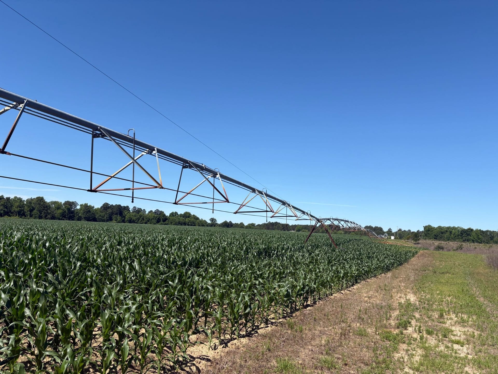 Henderson Grove Farm & Timber