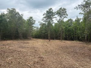 6 Ac Homesite w/ Paved Frontage
