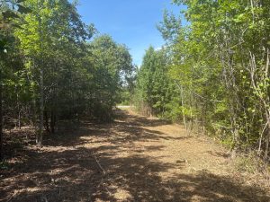 Rural Homesite Close to Milledgeville