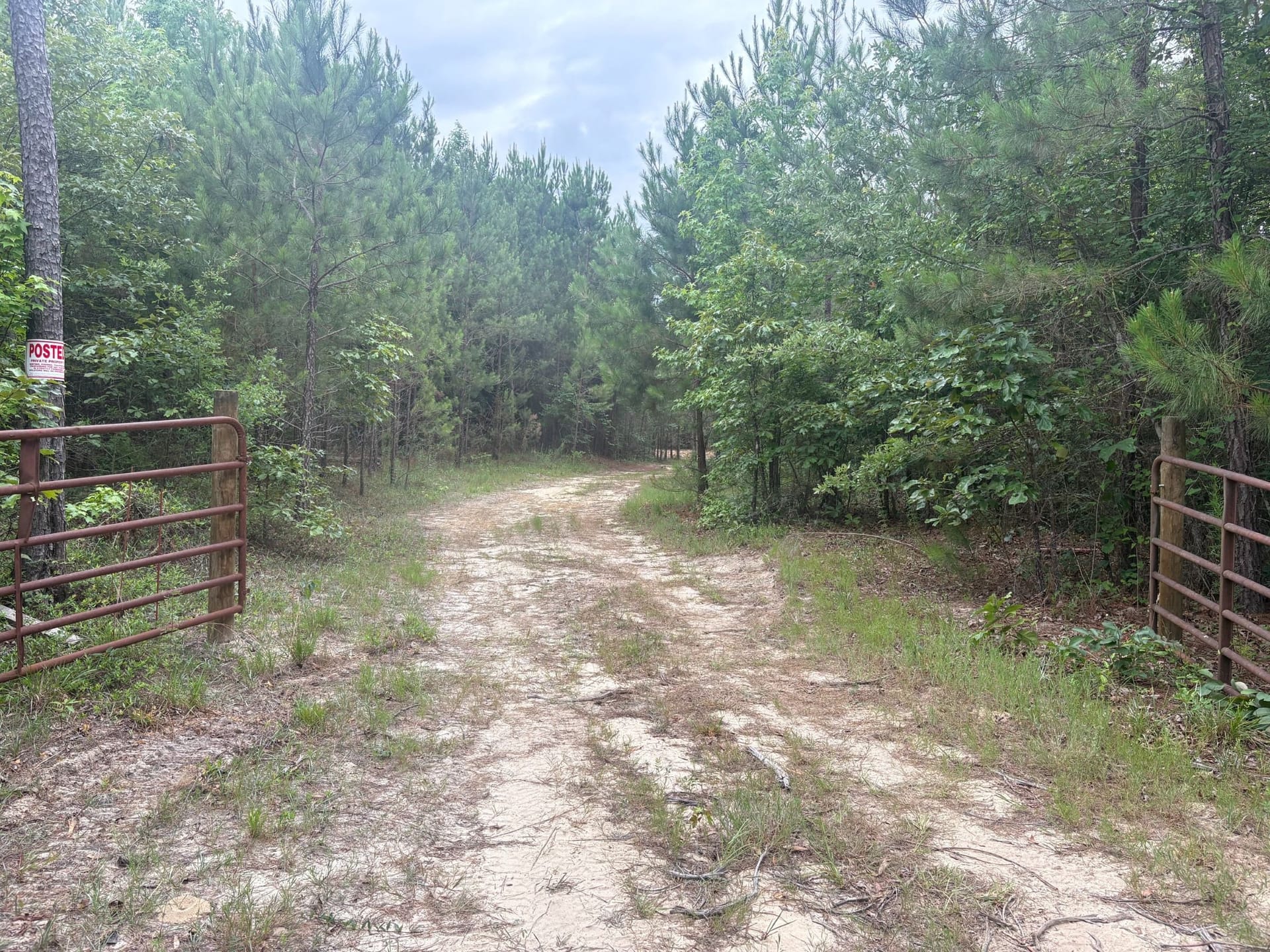 Live & Hunt 12 Acre Lot
