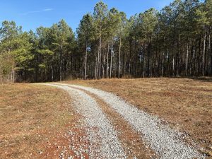 Old Zebulon Timber & Recreation