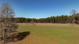 Yellow Creek Plantation West