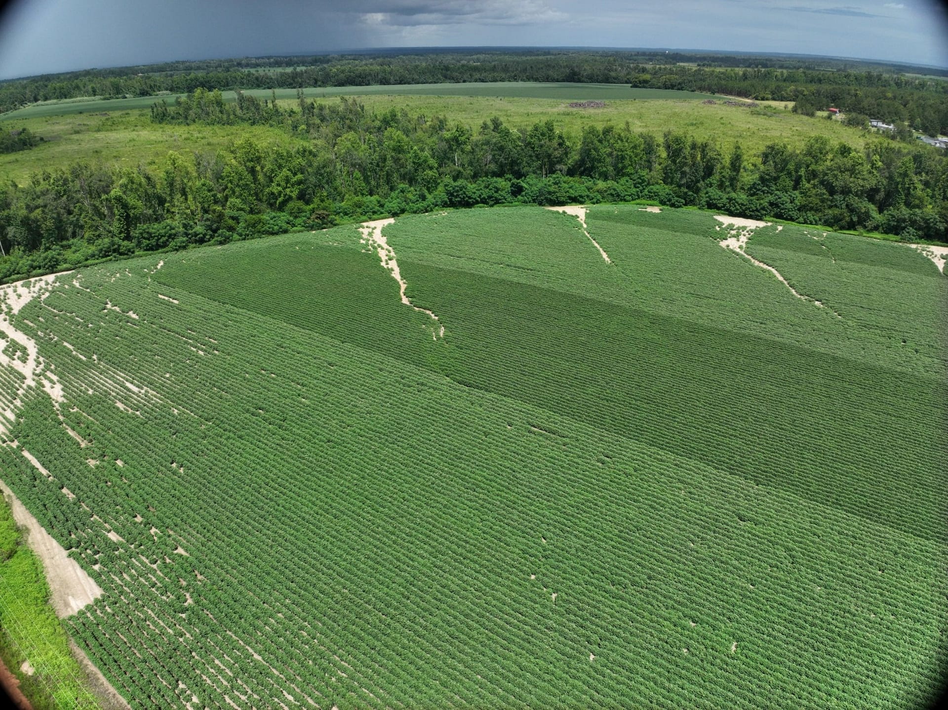 Oak Park Tract
