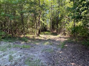 Rural Hunting & Homesite